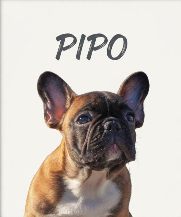 Lienzo con retrato de perro bulldog pintado realismo- MascotArte 3
