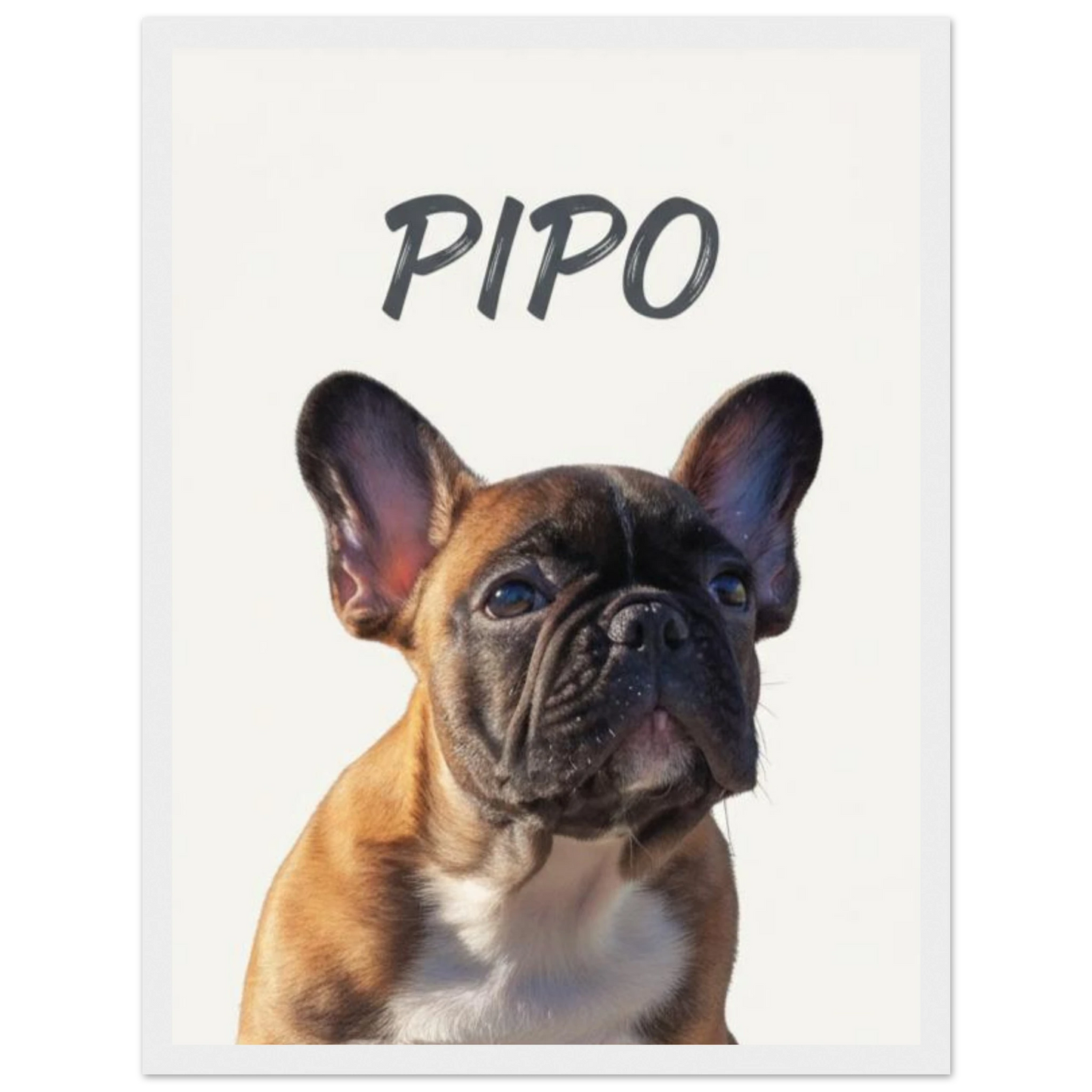 Cuadro blanco con retrato de perro bulldog pintado realismo- MascotArte 1