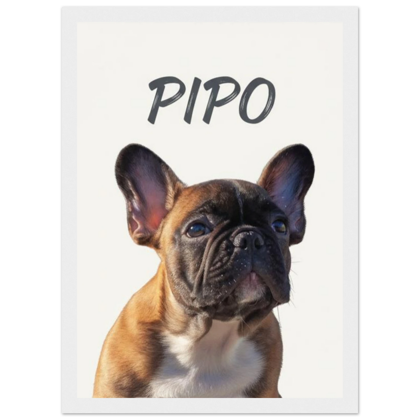 Cuadro blanco con retrato de perro bulldog pintado realismo- MascotArte 2