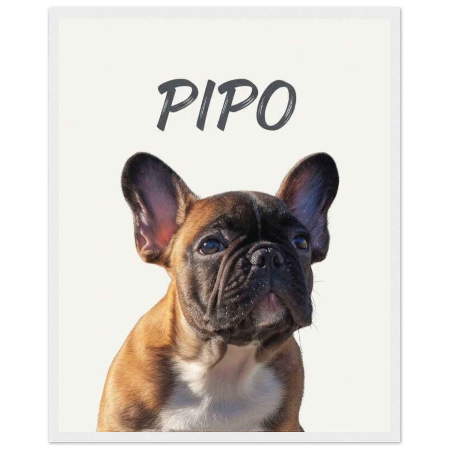 Cuadro blanco con retrato de perro bulldog pintado realismo- MascotArte 3