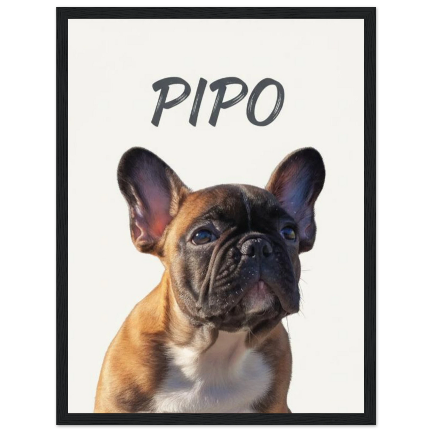 Cuadro negro con retrato de perro bulldog pintado realismo- MascotArte 1