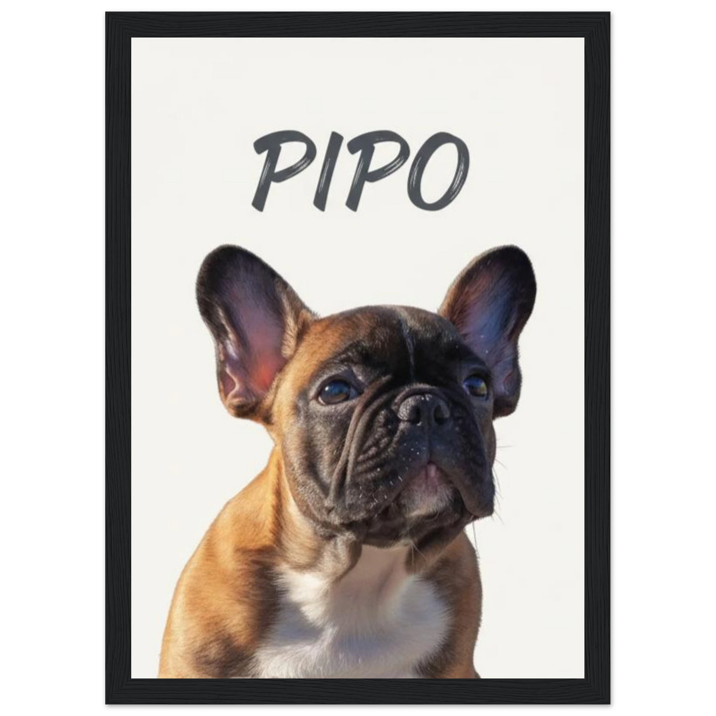 Cuadro negro con retrato de perro bulldog pintado realismo- MascotArte 2