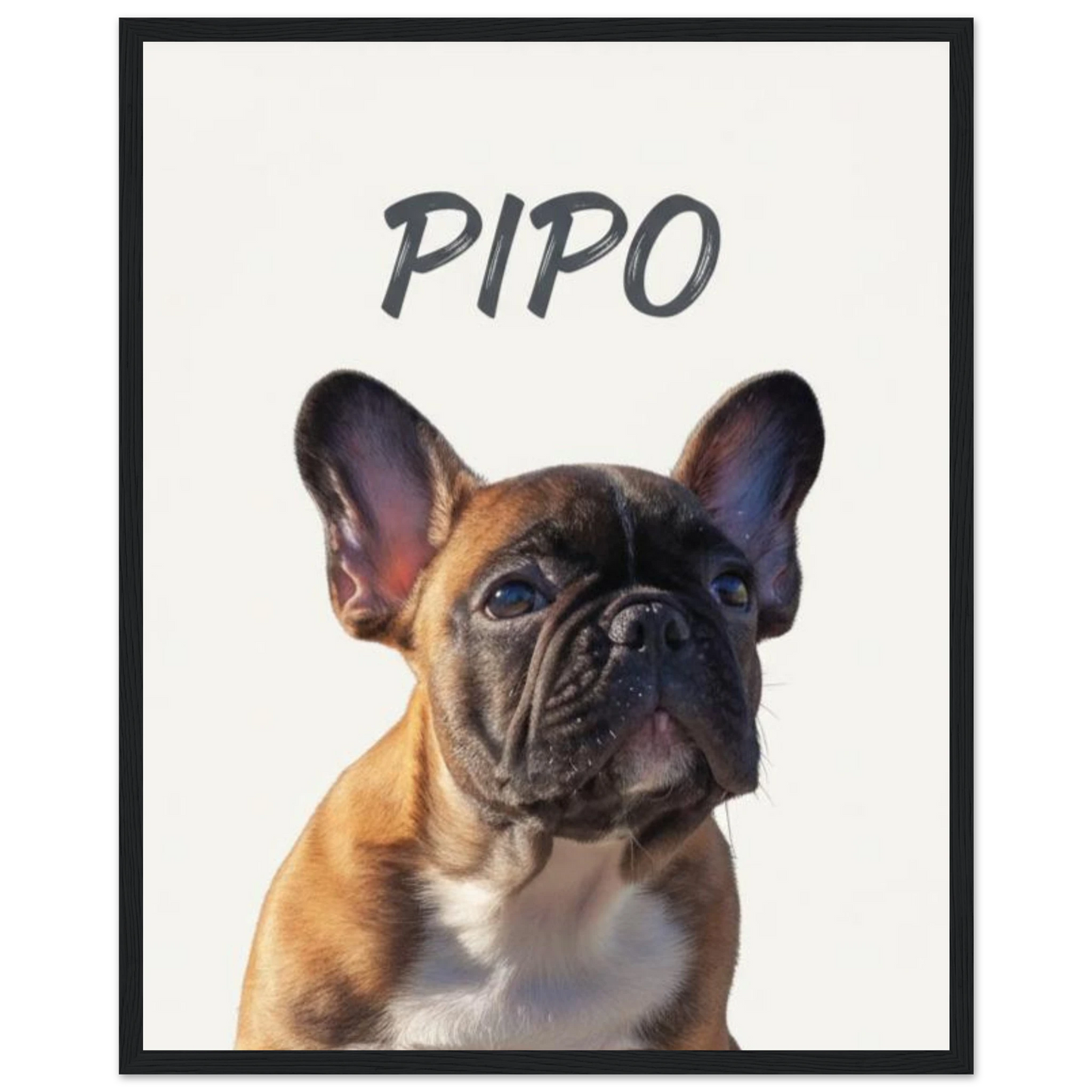 Cuadro negro con retrato de perro bulldog pintado realismo- MascotArte 3